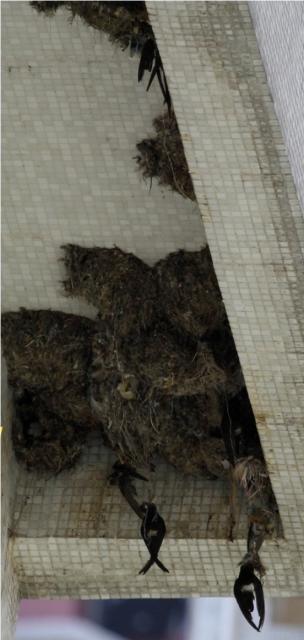 點擊在新窗口查看全圖