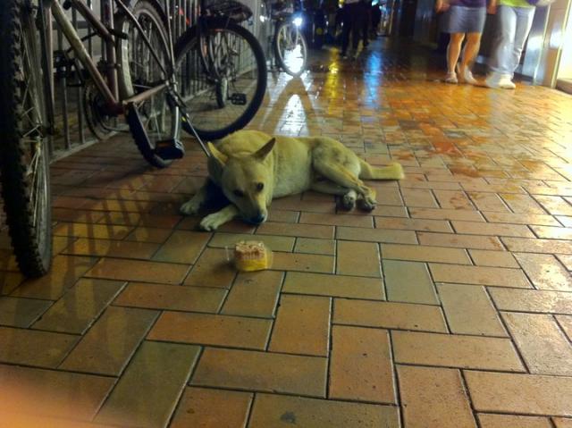 點擊在新窗口查看全圖