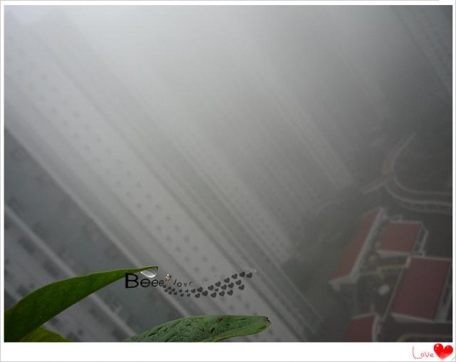 點擊在新窗口查看全圖