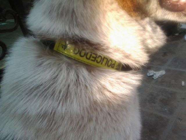 點擊在新窗口查看全圖