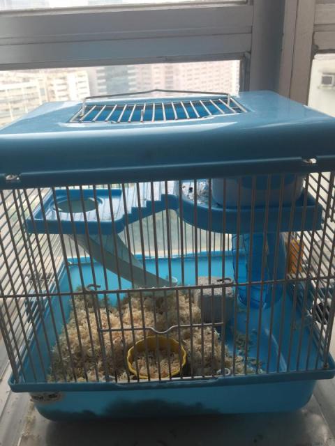 點擊在新窗口查看全圖