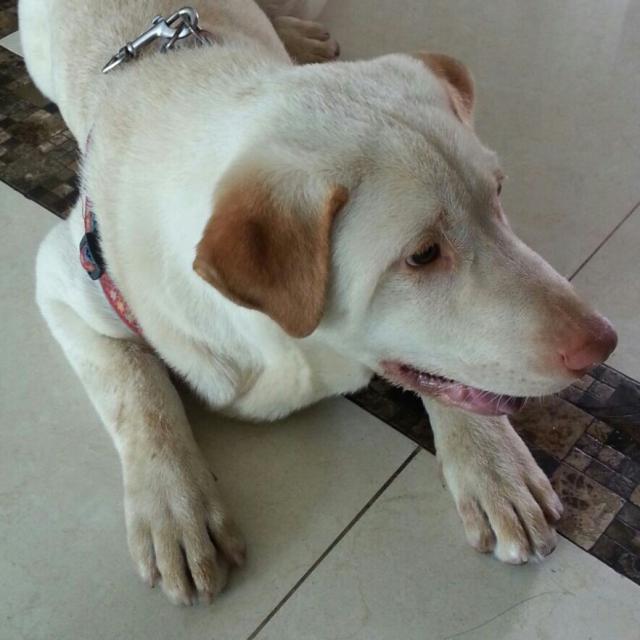 點擊在新窗口查看全圖