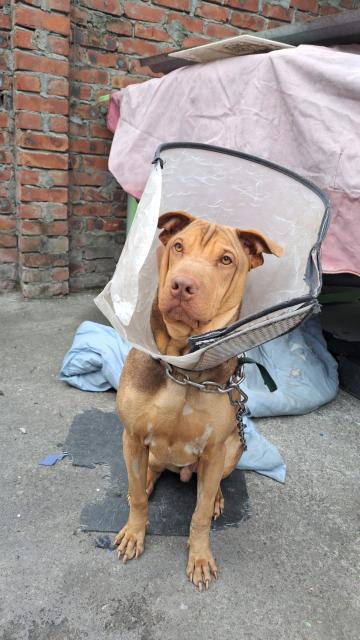 點擊在新窗口查看全圖